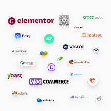 WordPress Plugins